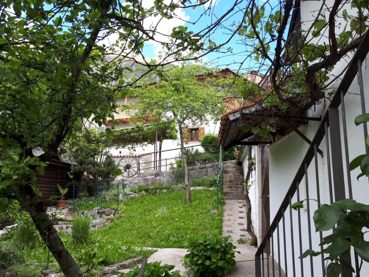 Apartma Nadiza Borjana107 Exteriér fotografie