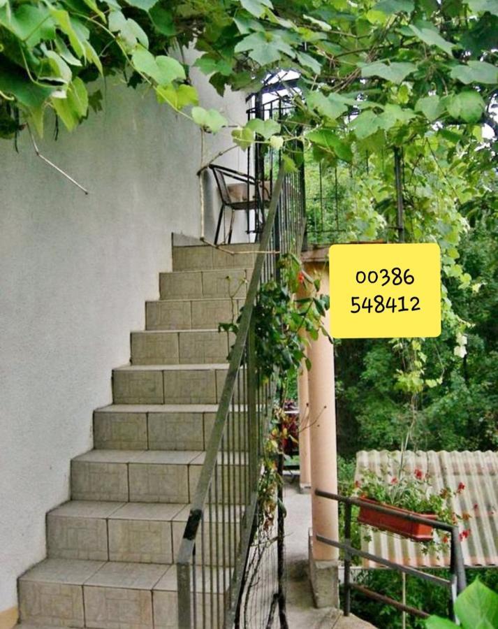 Apartma Nadiza Borjana107 Exteriér fotografie